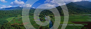 Hanalei Valley Overlook photo