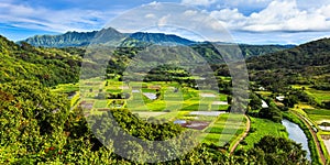 Hanalei Valley Panorama photo
