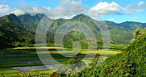 Hanalei Valley Rainbow, Kauai