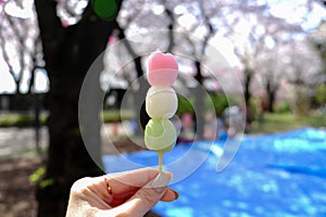 Hanami dango has three colors,traditionally made during Sakura-viewing season:Asukayama Park in Kita,Tokyo,Japan