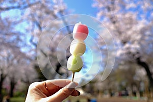 Hanami dango during Sakura-viewing season at Asukayama Park,Tokyo.