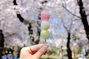 Hanami dango during Sakura-viewing season at Asukayama Park, Tokyo.