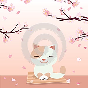 Hanami Festival. cherry blossom festival.  Relaxing cat.