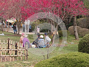 Hanami party photo