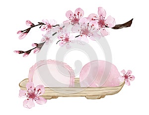 Hanami season desserts, traditional Japanese cuisine. Mochi dessert with sakura flowers isolated on white background