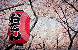 Hanami season in Japan