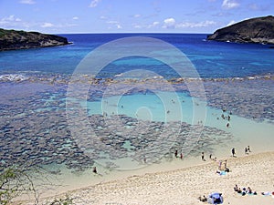 Hanauma Bay photo