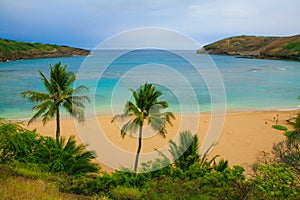 Hanauma Bay in Hawai, Tropical volcanic cone