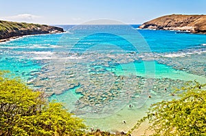 Hanauma bay, Oahu, Hawaii