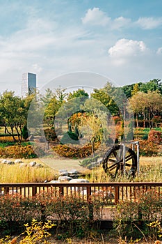 Hanbat Arboretum autumn nature scenery in Daejeon, Korea