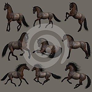 Hancock Roan Horse, 3d CG