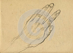 The hand 2 - drawing