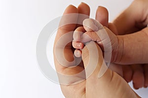 Hand adult and baby