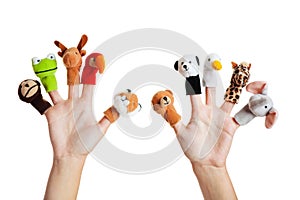 Hand with animal puppets