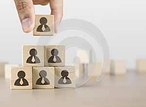 Hand arranging wooden blocks stacking as a pyramid staircase on white background. Human resources management, recruitment or