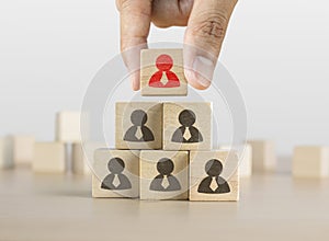 Hand arranging wooden blocks stacking as a pyramid staircase on white background. Leadership, Human resources management,