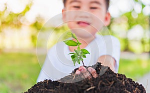 Hand of Asian cute little cheerful child boy planting young tree