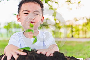 Hand of Asian cute little cheerful child boy planting young tree