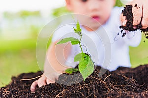 Hand of Asian cute little cheerful child boy planting young tree