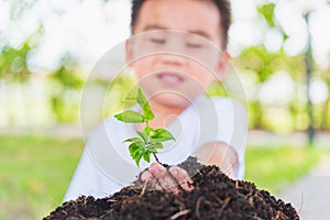 Hand of Asian cute little cheerful child boy planting young tree