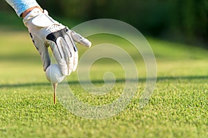 Hand asian woman putting golf ball on tee with club in golf course on sunny day for healthy sport.