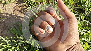 Hand background from Vadodara Gujarat