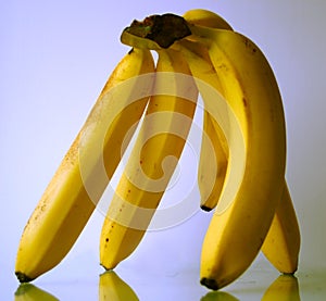 Hand of bananas