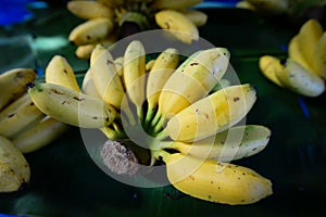 hand of bananas,tropical Thai fruit