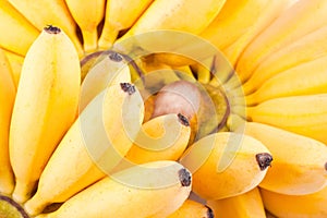 Hand of bananas on white background healthy Pisang Mas Banana fruit food isolated