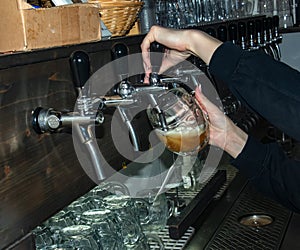 The hand of a bartender girl at a beer tap pours draft beer into a glass served in a restaurant or pub