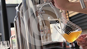 Hand of bartender pouring a large glass of lager beer with tap. Beer degustation. Concept of alcohol drink