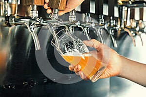 Hand of bartender pouring a large lager beer in tap.