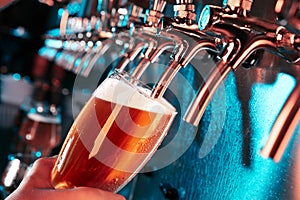 Hand of bartender pouring a large lager beer in tap