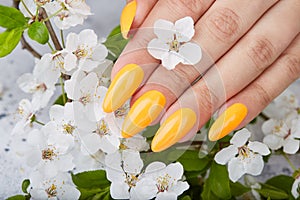 Hand with long artificial manicured nails colored with yellow nail polish