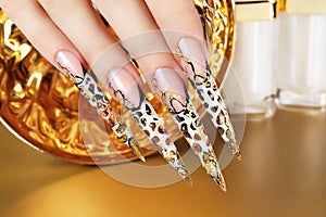 Hand with beautiful nails on gold background.