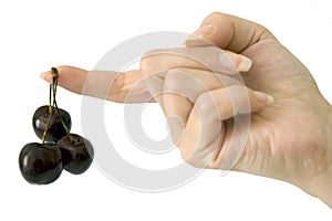 Hand with black cherries