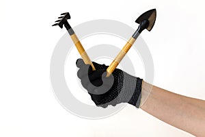 A hand in a black glove holding small shovel and a rake.