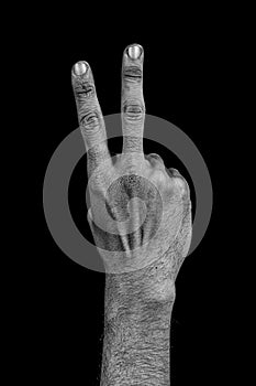 Hand on black palm - two