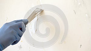 Hand in blue glove with putty knife repair wall, The process of applying a layer of putty, repair finishing work with a spatula.