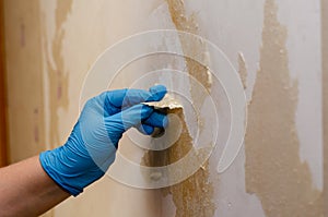 A hand in a blue glove removes the remains of wallpaper from the wall. A woman removes the paper wallpaper soaked in water. Inside