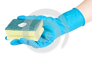 Hand in blue glove with sponge