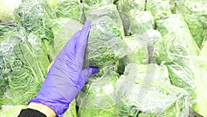 Hand in a blue medical glove holds green Beijing cabbage packed in food cellophane in a quarantine store during the coronavirus