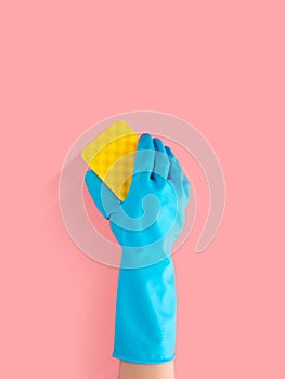 Hand in blue rubber glove holding yellow cleaning sponge, cleaning and disinfection for good hygiene isolated on pink background