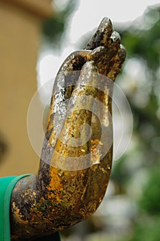 Hand of buddha