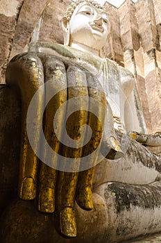 Hand of buddha image