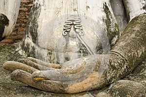 Hand of buddhism image