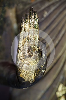 Hand of Budha