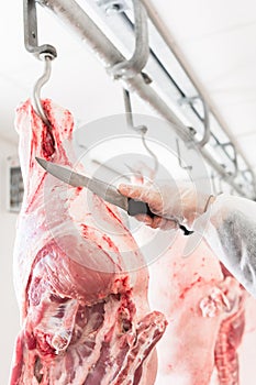 Hand of butcher in butchery cutting meat