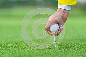 Hand caddy hold Golf ball with tee ready to be shot at golf court