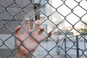 Hand in the cage